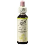 Bachovy květové esence Kaštan bílý White Chestnut 20 ml – Hledejceny.cz