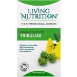 Living Nutrition Fermentovaný kotvičník zemní 60 kapslí – Hledejceny.cz