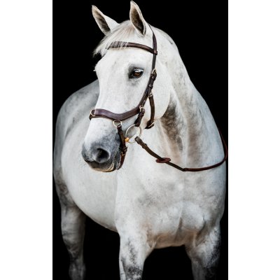 RAMBO Uzdečka Horseware MICKLEM2 MULTI Hnědá – Zboží Mobilmania