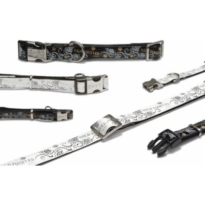 Forever Obojek pro psy – Hledejceny.cz