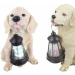 Globo 33372 – Zboží Dáma