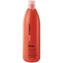 Inebrya Best Care Conditioner 1000 ml