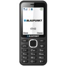 Blaupunkt FM 02