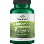 Swanson Cinnamon Gymnema Mulberry Complex komplex moruše skořice gymnema 120 kapslí – Hledejceny.cz