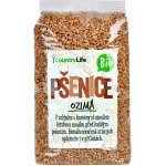 Country Life Pšenice ozimá zrno BIO 1 kg – Zboží Mobilmania