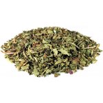 Profikoření Meduňka lékařská nať 10 kg – Zboží Dáma