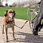 Trixie dog vodící set na kolo 2,5 cm/1-2m – Zboží Mobilmania