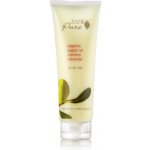 100% Pure pleťový čistící krém arganový olej bio 100 ml – Hledejceny.cz