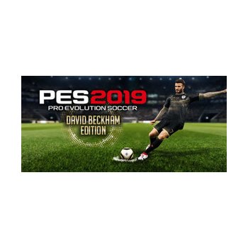 Pro Evolution Soccer 2019 (Beckham Edition)