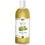 Green idea Professional citronová tráva masážní olej 500 ml – Hledejceny.cz