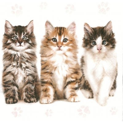 Ubrousek 33x33cm Kočky tři – Zboží Dáma