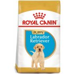 Royal Canin Labrador Retriever Puppy granule pro štěňata 2 x 12 kg – Sleviste.cz