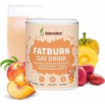 Blendea Fatburn Day Drink 100 g – Zboží Dáma