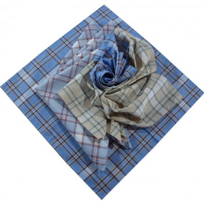 Etex Kapesníky bavlna nový dezén 6ks – Sleviste.cz