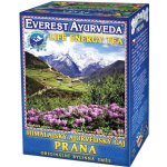 Everest Ayurveda PRANA Povzbuzení vitality a životní energie 100 g – Hledejceny.cz