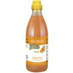 IV San Bernard ARANCIA 1000 ml – HobbyKompas.cz