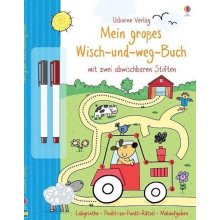Mein groes Wisch-und-weg-Buch Taplin SamPevná vazba
