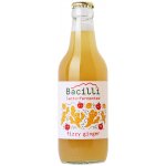 Optimistic BIO Bacilli fermentovaná limonáda Fizzy Ginger 330 ml – Zbozi.Blesk.cz