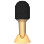 Karaoke mikrofon pro děti Glitter Grove Gold – Zboží Dáma