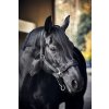 Ohlávky a vodítka pro koně CATAGO Ohlávka FIR-Tech černá