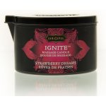 KamaSutra Strawberry Dreams 170g – Zboží Mobilmania