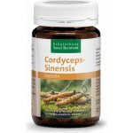 Sanct Bernhard Cordyceps CS-4 500 mg 90 kapslí – Hledejceny.cz