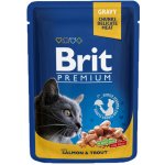 Brit Premium by Nature Cat Salmon & Trout 100 g – Hledejceny.cz