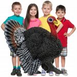 Schleich 13900 Farm World Turkey – Hledejceny.cz
