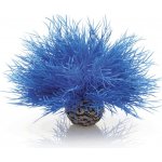 BiOrb Sea lilies modrá 11 cm – Zboží Mobilmania