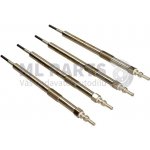 Originál OEM 11 06 558 13R