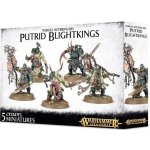 GW Warhammer 40.000 Nurgle Rotbringers Putrid Blightkings – Sleviste.cz