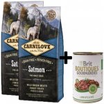 Carnilove Salmon for Adult Dogs 2 x 12 kg – Hledejceny.cz