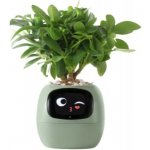 Plantsio Ivy zelený – Zboží Dáma