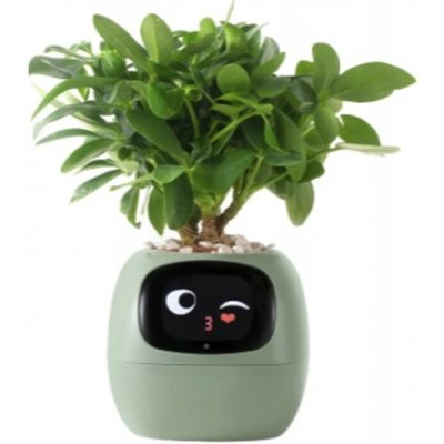 Plantsio Ivy zelený – Zboží Dáma