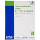 Epson C13S042095