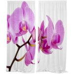 IMPAR Závěsy Růžová orchidej (Rozměr : 140x250, Materiál: Interlock) – Hledejceny.cz