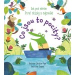 Co jsou to pocity? – Sleviste.cz