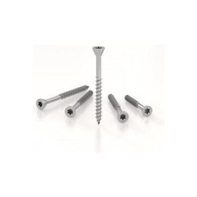 Šrouby do dřeva WT WINTECH a.s. 1 x 1 mm 1 ks – Hledejceny.cz