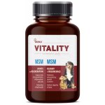 Akinu Vitality MSM 200 g – Hledejceny.cz