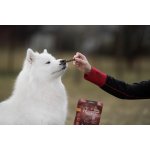 Marp Holistic Plus hovězí pamlsky pro psy 80 g – Hledejceny.cz