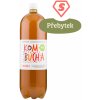 Ledové čaje Country Life Kombucha meduňka bio 2 l