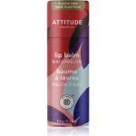 Attitude Super Leaves Přírodní balzám na rty s vůní melounu balzám na rty 8,5 g – Zboží Dáma