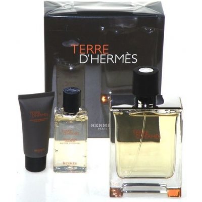 Hermés Terre D'Hermés EDT 100 ml + balzám po holení 40 ml + pěna na holení 50 ml dárková sada