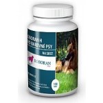 Univit Roboran H pro barevné psy 200 g – Zbozi.Blesk.cz