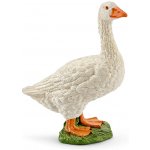Schleich 13799 Husa – Zboží Mobilmania