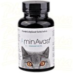 AminAvast Kočka 60 cps – Zboží Dáma