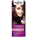 Pallete Intensive Color Creme barva na vlasy RFE3 Intenzivní tmavě fialová – Sleviste.cz