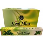 Garden Fresh indické vonné tyčinky Cool mint 15 g – Zboží Dáma