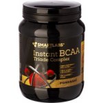 Smartlabs BCAA triade 400 g – Hledejceny.cz