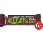 Bombus Raw Protein 6 x 50g – Zbozi.Blesk.cz